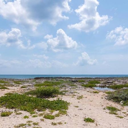 Ground Level Garden Condo At Akumal South By Tao Santamar Екстер'єр фото